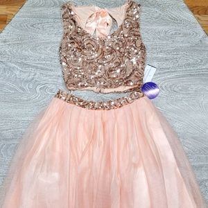 🔥Rose Gold Sparkly Crop top with A-line blush pink skirt
